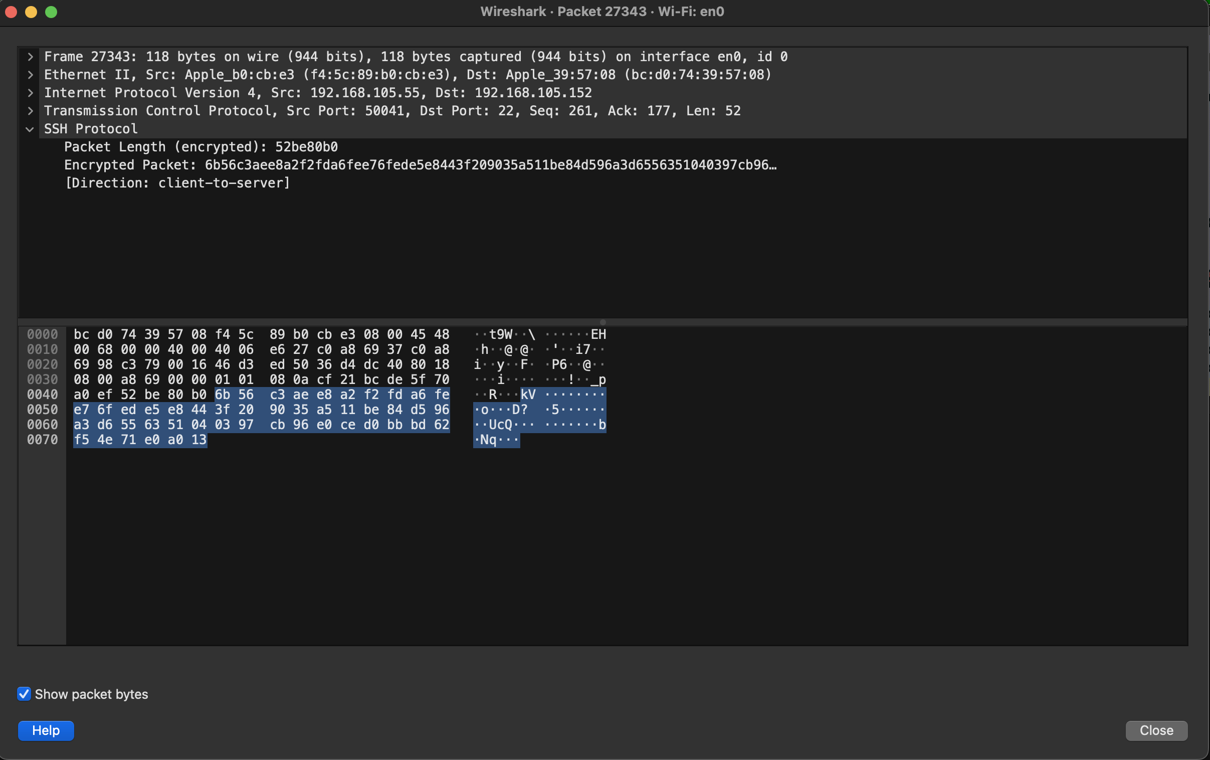 wireshark_image